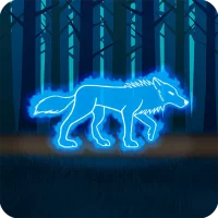 The Secrets of the Dark Forest