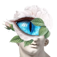DaDa: collage maker & editor