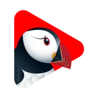 Puffin TV Player