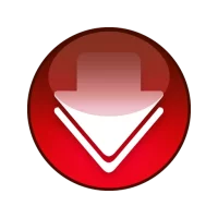 Video Downloader