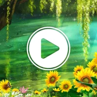 فيديو لايف للجدران - الحوائط