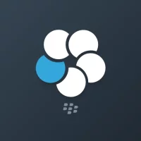 BlackBerry Work