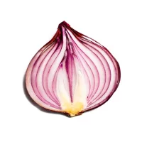 محرك البحث Onion